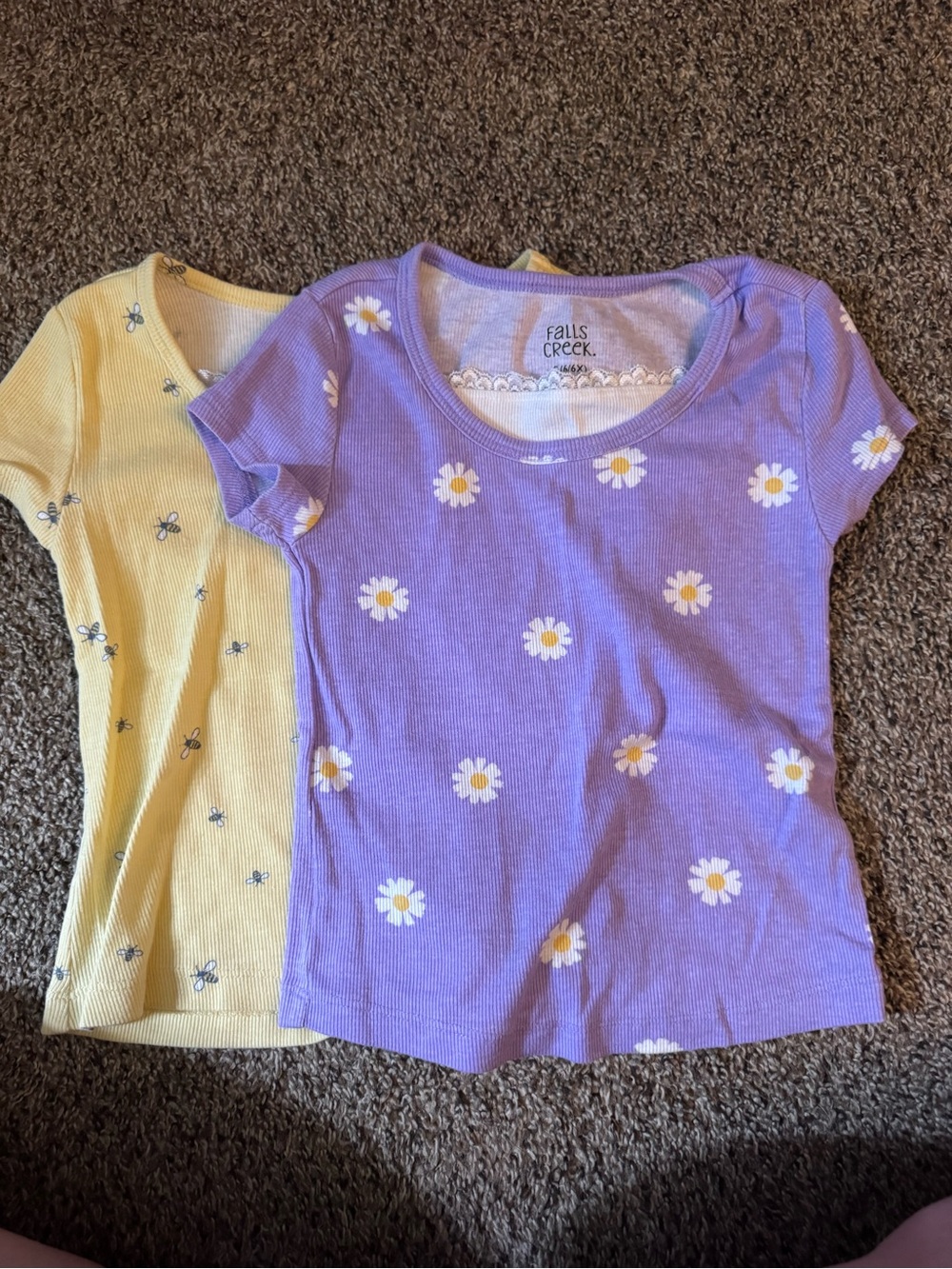 Falls Creek Purple Daisy Short Sleeve Tee